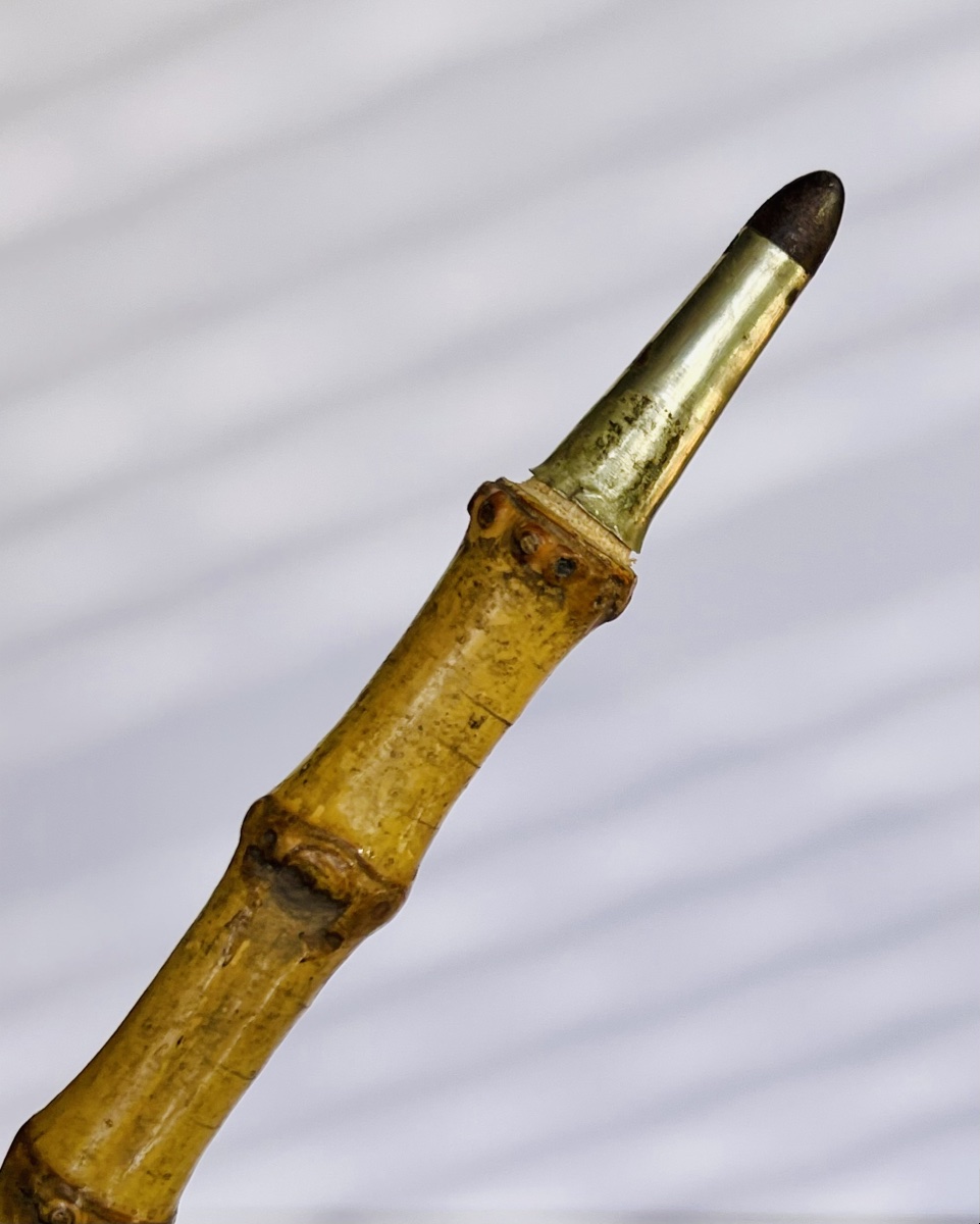 Andromeda Walking Stick Made Of Carved Boxwood -photo-5